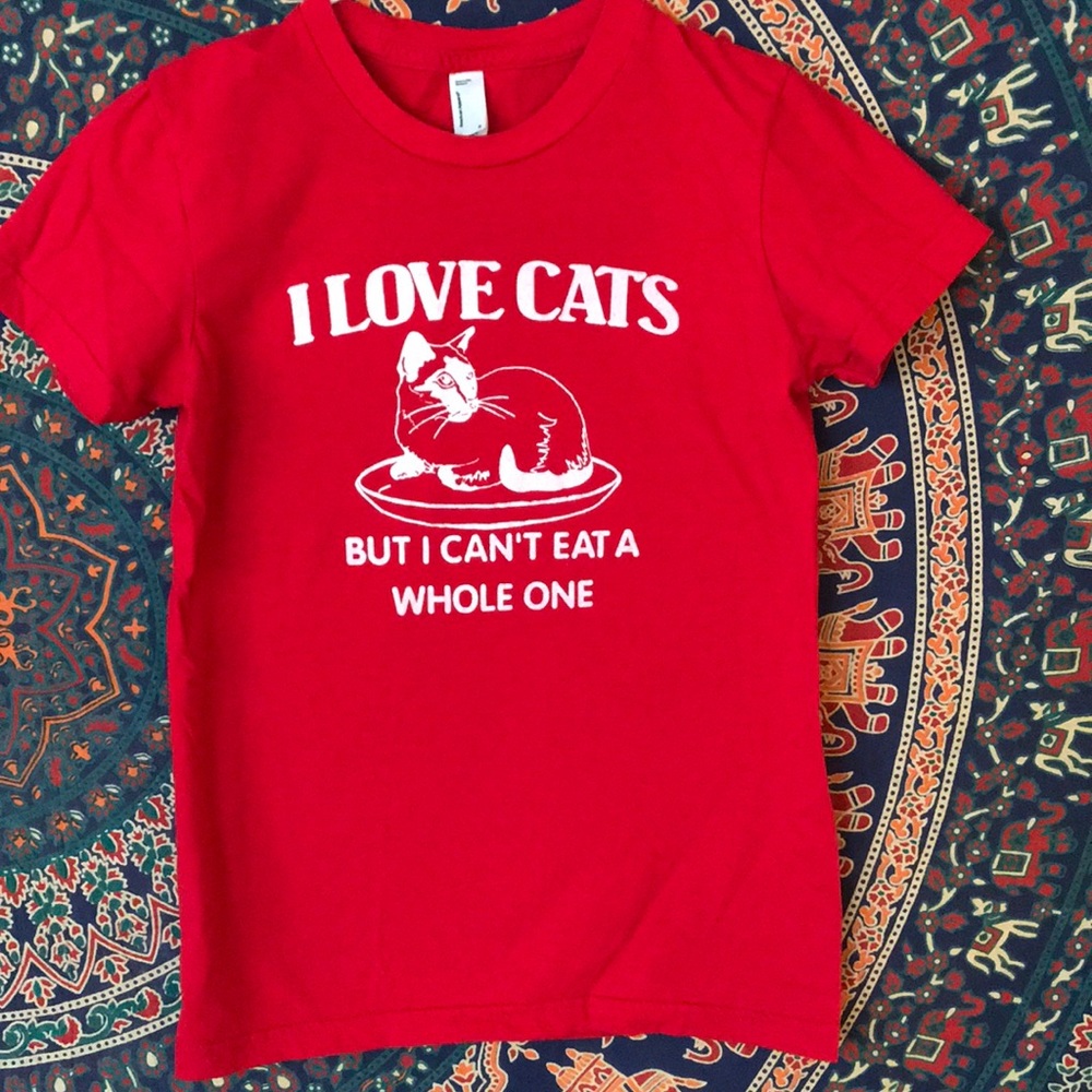 T-shirt. American apparel. Small.